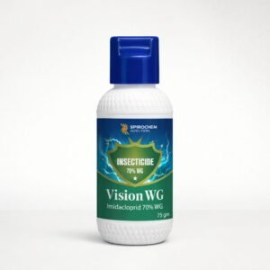Vision WG