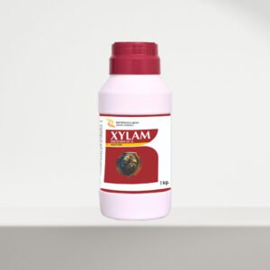 Xylam